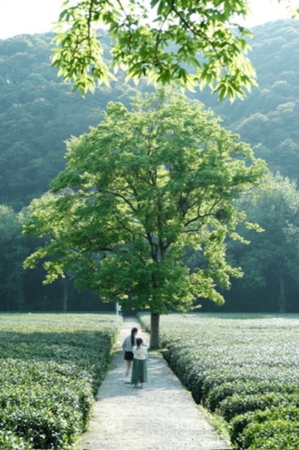 摄影作品 10